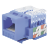 Módulo Jack / Cat6 Clase E / Keystone 110 / Impacto / RJ45 No Blindado / Azul