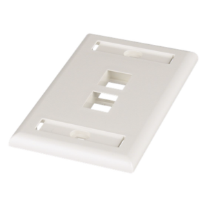Placa de Pared Vertical / 2 Puertos Keystone / Espacios para Etiquetas / Blanco Mate / 2.75 x 4.5 pulg.