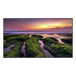 Pantalla LED Profesional / 55 Pulgadas / UHD 4K 3840x2160p / 350 Nits / Operación 16/7 / Wi-Fi Dual y Bluetooth / VESA 200x200 mm