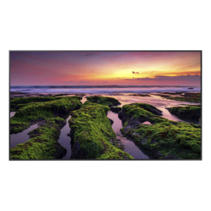 Pantalla LED Profesional / 55 Pulgadas / UHD 4K 3840x2160p / 350 Nits / Operación 16/7 / Wi-Fi Dual y Bluetooth / VESA 200x200 mm