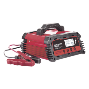 Cargador de Baterías / 12 o 24 Vcc / 25 A / Hasta 250 Ah / Display LCD / Entrada Universal AC 110-220 V